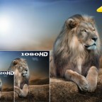 Zašto je dobro snimati u 4K