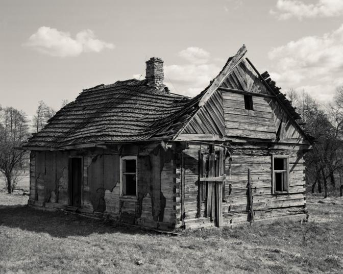 SWPA_Fotografkinja godine_Profesionalno takmicenje_Alis Tomlinson_Velika...