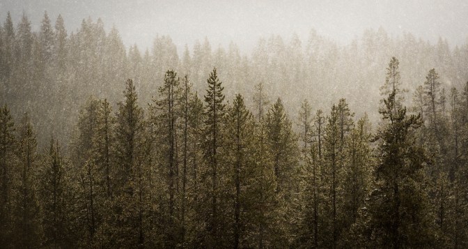 Photograph by Timothy Behuniak.