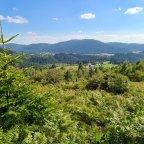 Samsung Galaxy S20 u selu Strica