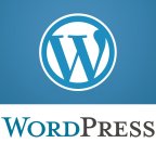 Šta je WordPress