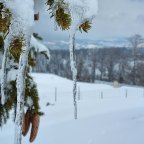 Mini foto i video test Samsung Galaxy S21 + telefona