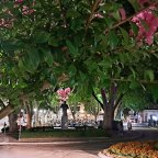 Na proputovanju do Trebinja sa Samsung Galaxy A53 5G telefonom