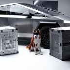 Sora: AI koji pretvara tekst u realistične videozapise – revolucija ili rizik?